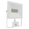 LED SMD ΠΡΟΒΟΛΕΑΣ 230V AC 50W 3000K 4000LM IP66Ra80 ΛΕΥΚΟ