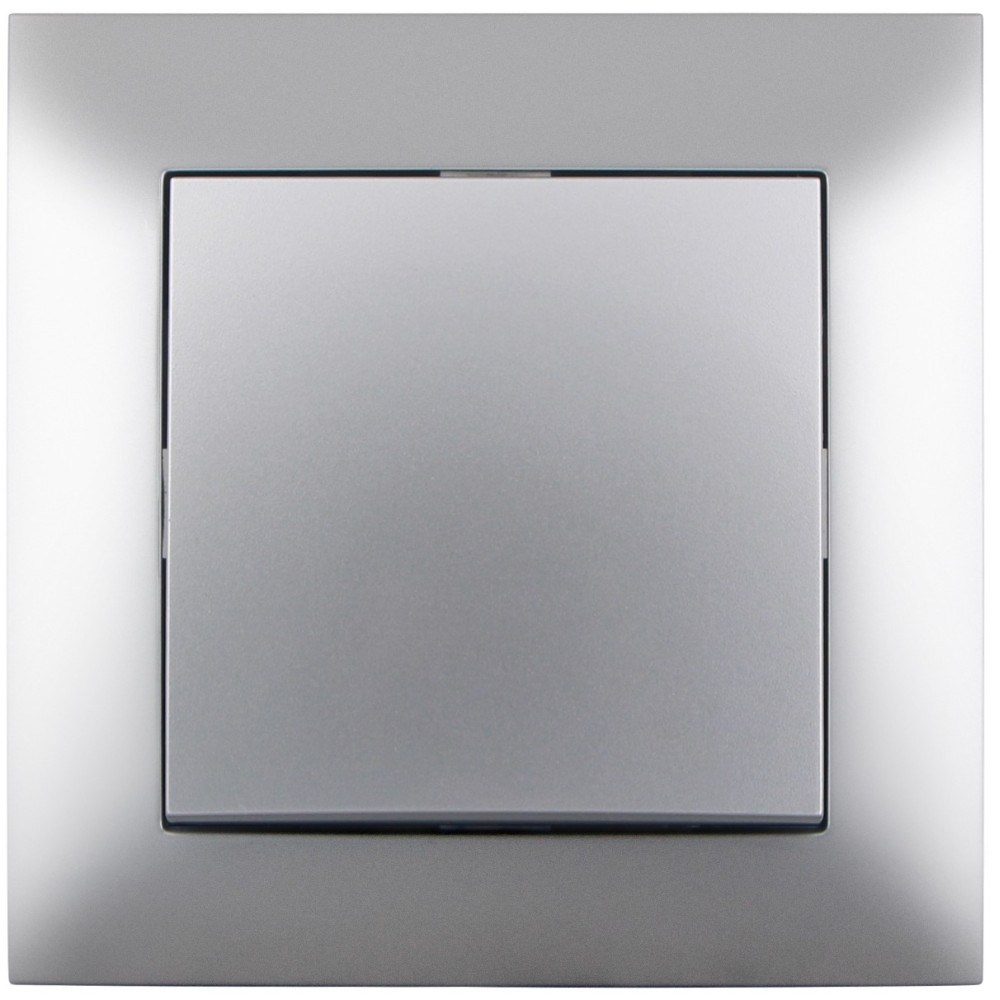 Entac 101 Arnold Recessed wall switch single-pole Silver