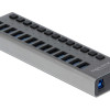 DELOCK USB hub 63738 με διακόπτες, 13x θυρών, 5Gbps, γκρι