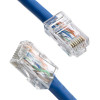 POWERTECH βύσμα RJ45 CAB-N446, Cat 6/6a UTP, διάφανο, 50τμχ