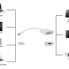 POWERTECH αντάπτορας USB Type-C σε DVI PTH-036, 4K, λευκό