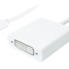 POWERTECH αντάπτορας USB Type-C σε DVI PTH-036, 4K, λευκό
