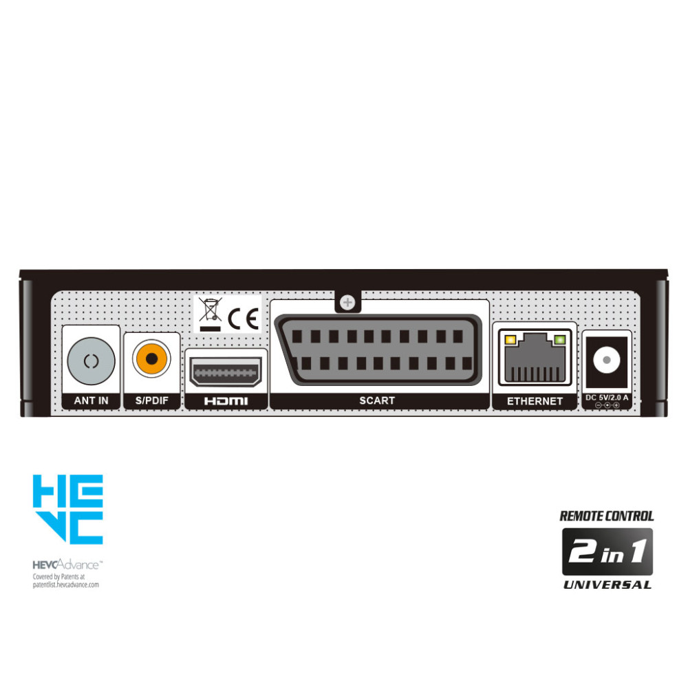 PING T2/C