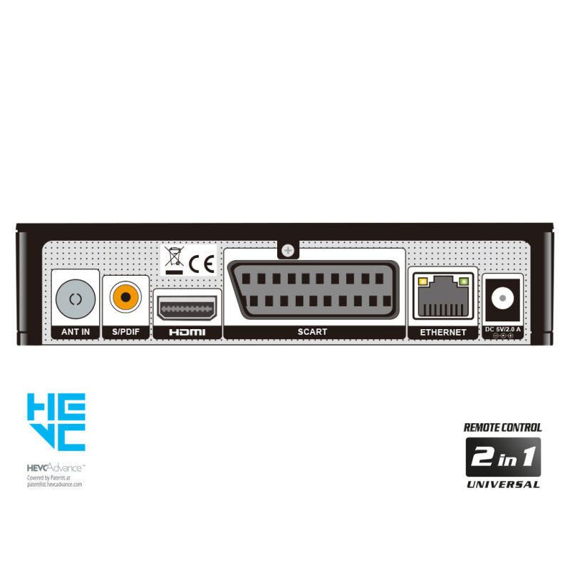 PING T2/C