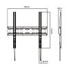 JL42850 JollyLine ΒΑΣΗ TOIXOY TV 23-55 Fixed 35kg