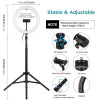 Ring Light Puluz  10.2" 26cm με Τρίποδο Δαπέδου 1.65m και Βάση για Κινητό