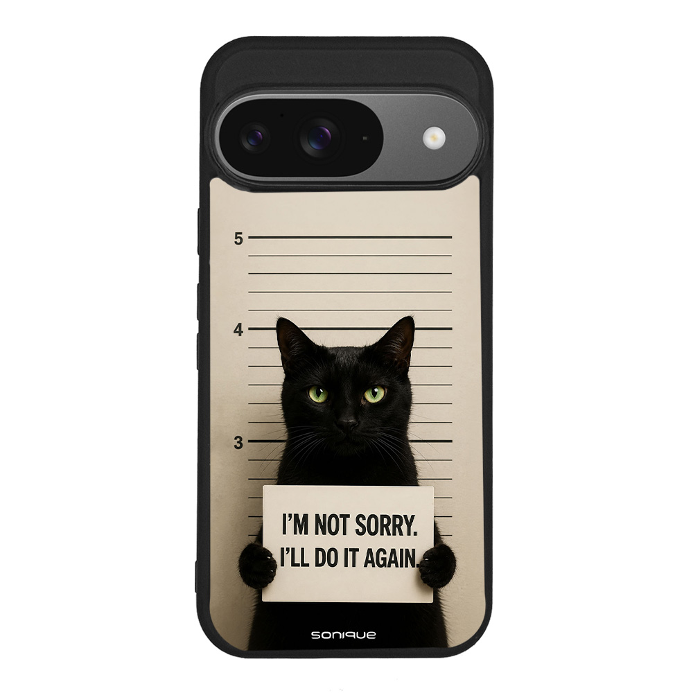 Θήκη Sonique Men's Edition για Google Pixel 9 5G Not Sorry