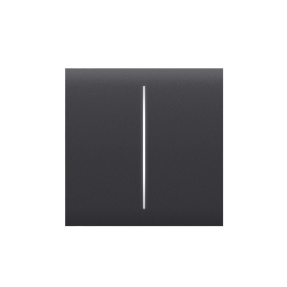 Center Button (2-Gang) Graphite Button AJAX