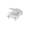 AWO447 Metal Box for Recorders Pulsar