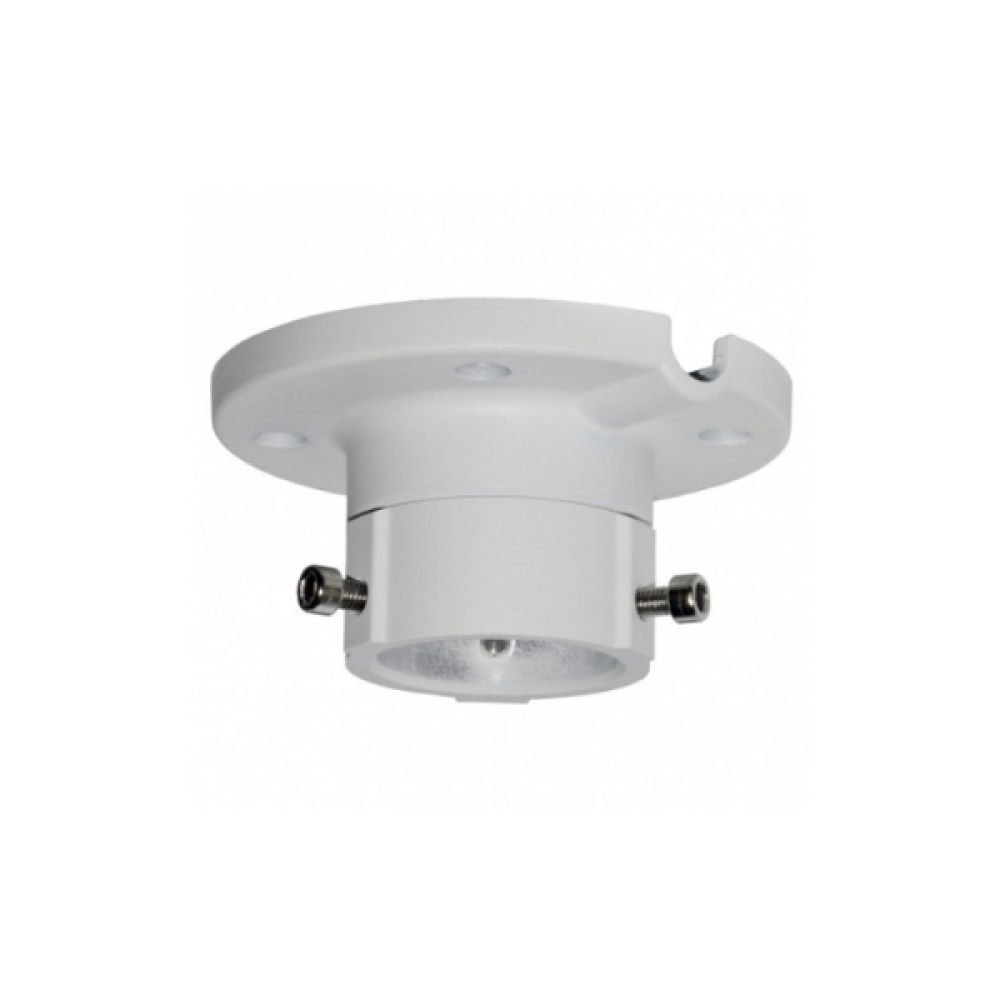 DS-1663ZJ In-ceiling mount Hikvision