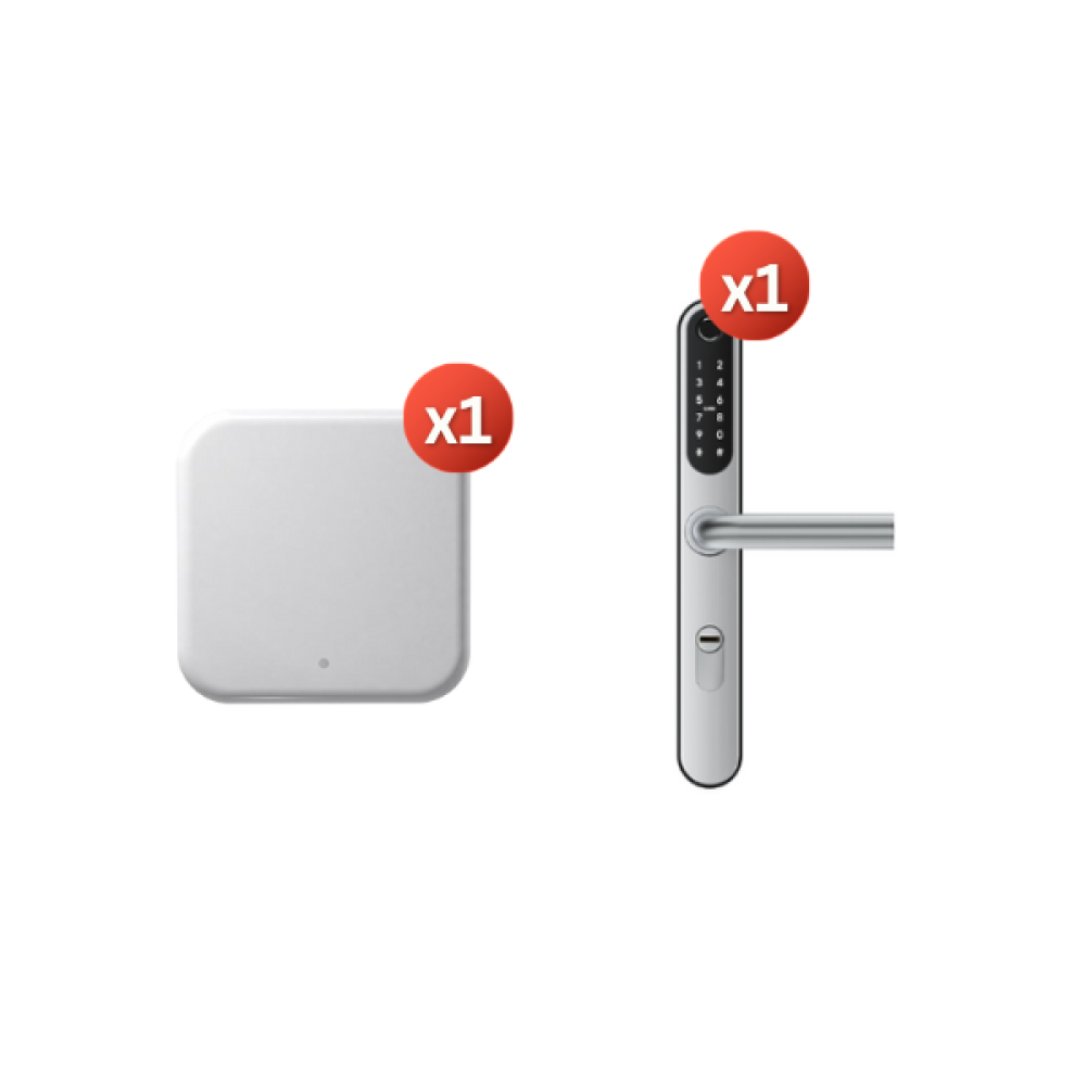 Smart Lock LiliWise S2B-C TB Silver 1 DOOR