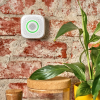 Shelly GAS (CNG) WiFi Gas Sensor with Sound Light Alarm (Φυσικό αέριο)