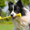 Insta360 GO 3 Fetch Stick