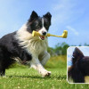 Insta360 GO 3 Fetch Stick