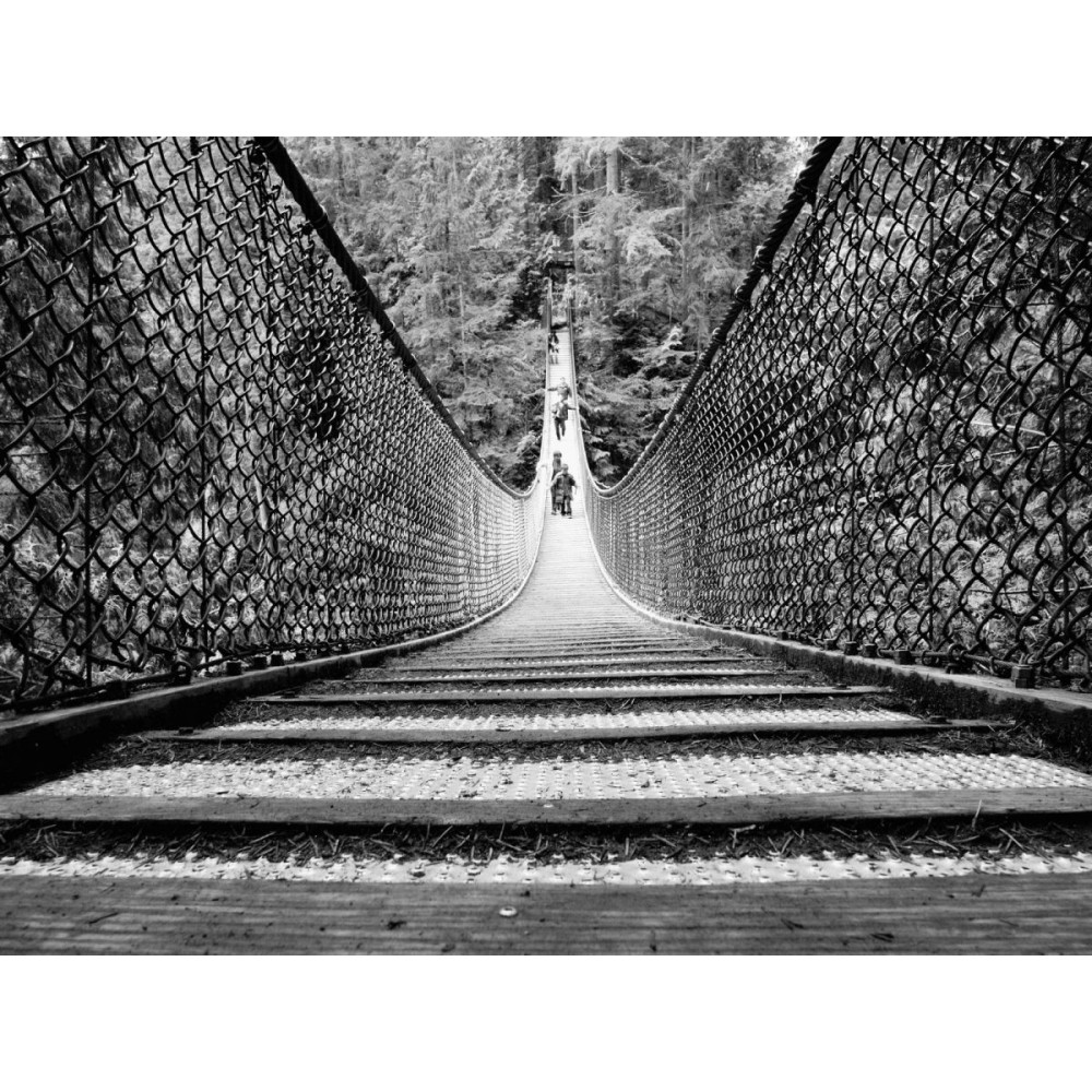 Olympus 12mm 1:2.0 BLACK M.ZUIKO DIGITAL (EW-M1220) Lense Micro FT