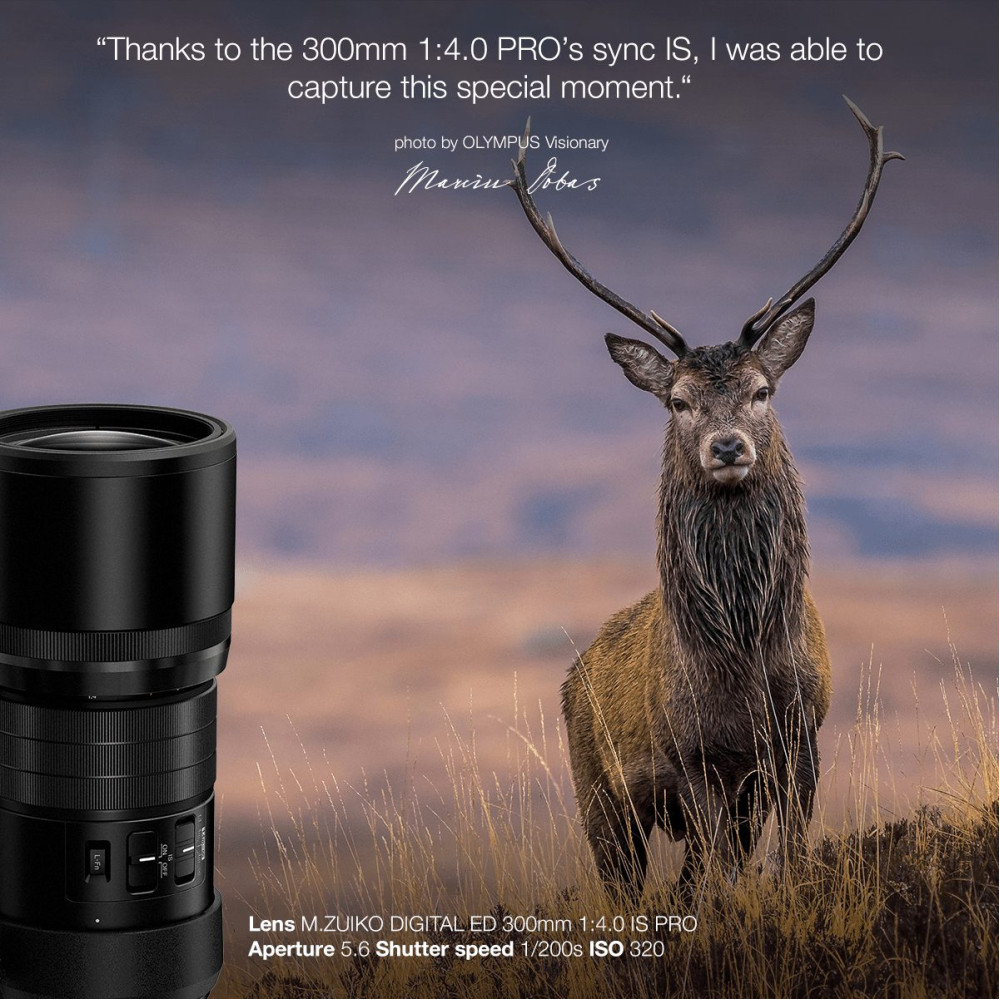 Olympus OM System M.ZUIKO DIGITAL ED 300mm 1:4 IS PRO Lens