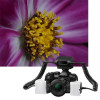 Olympus STF-8 Macro Flash