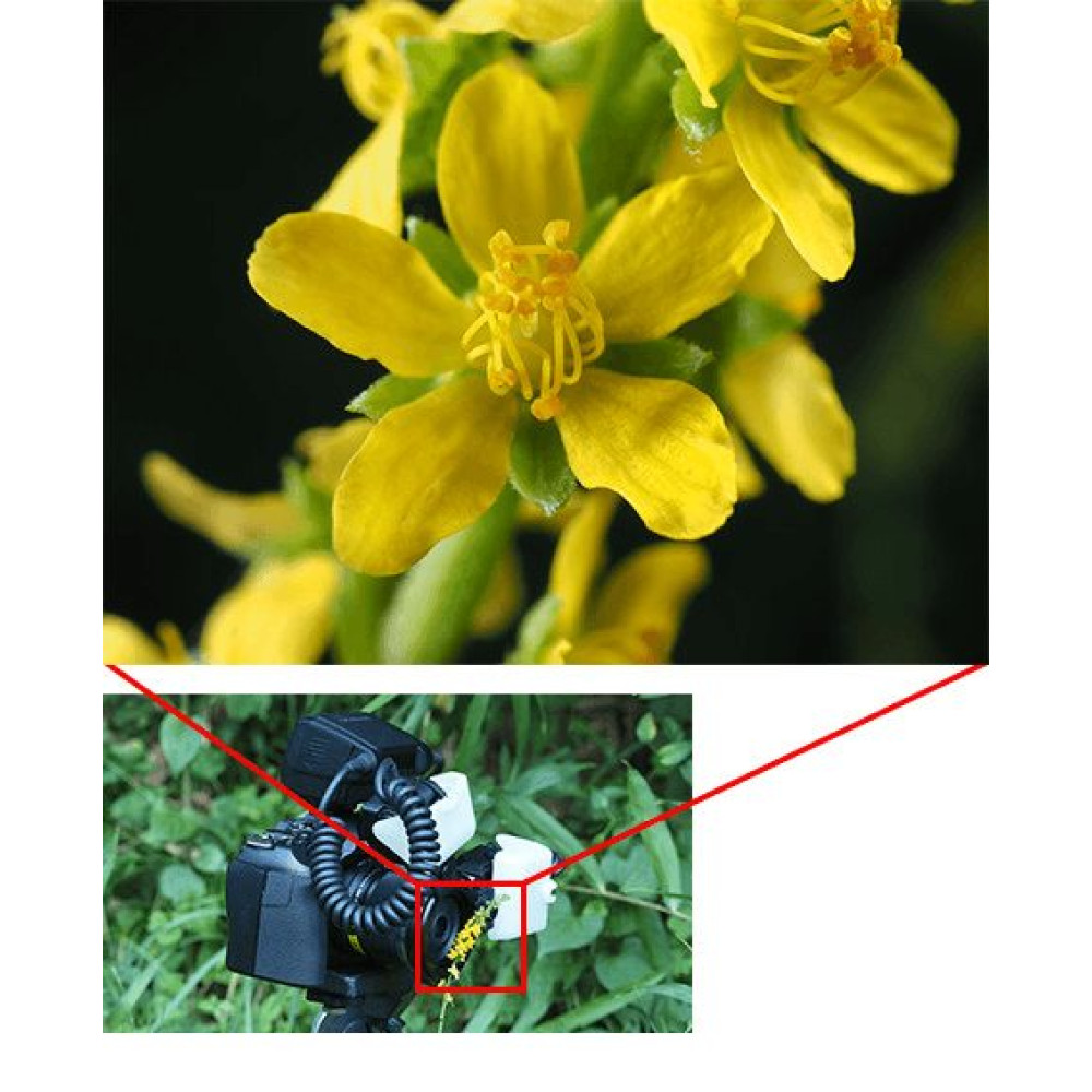Olympus STF-8 Macro Flash