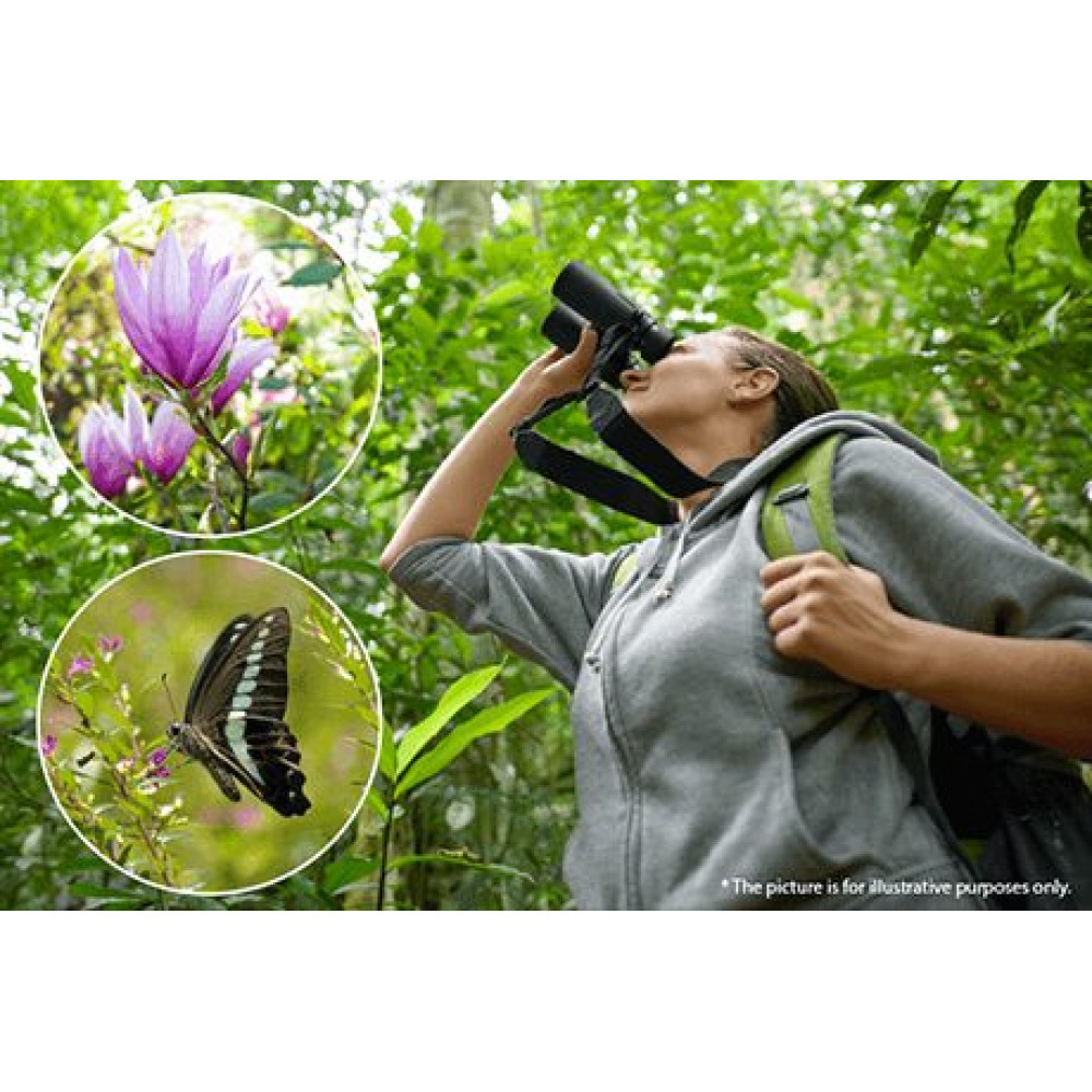 Olympus Binoculars 8x42 PRO incl. Case