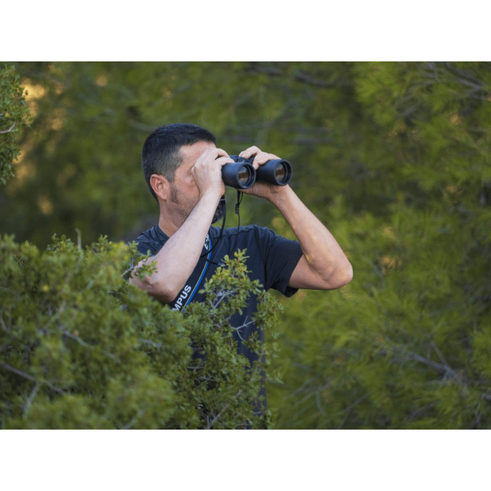 Olympus Binoculars 8x40 S incl. Case & Strap